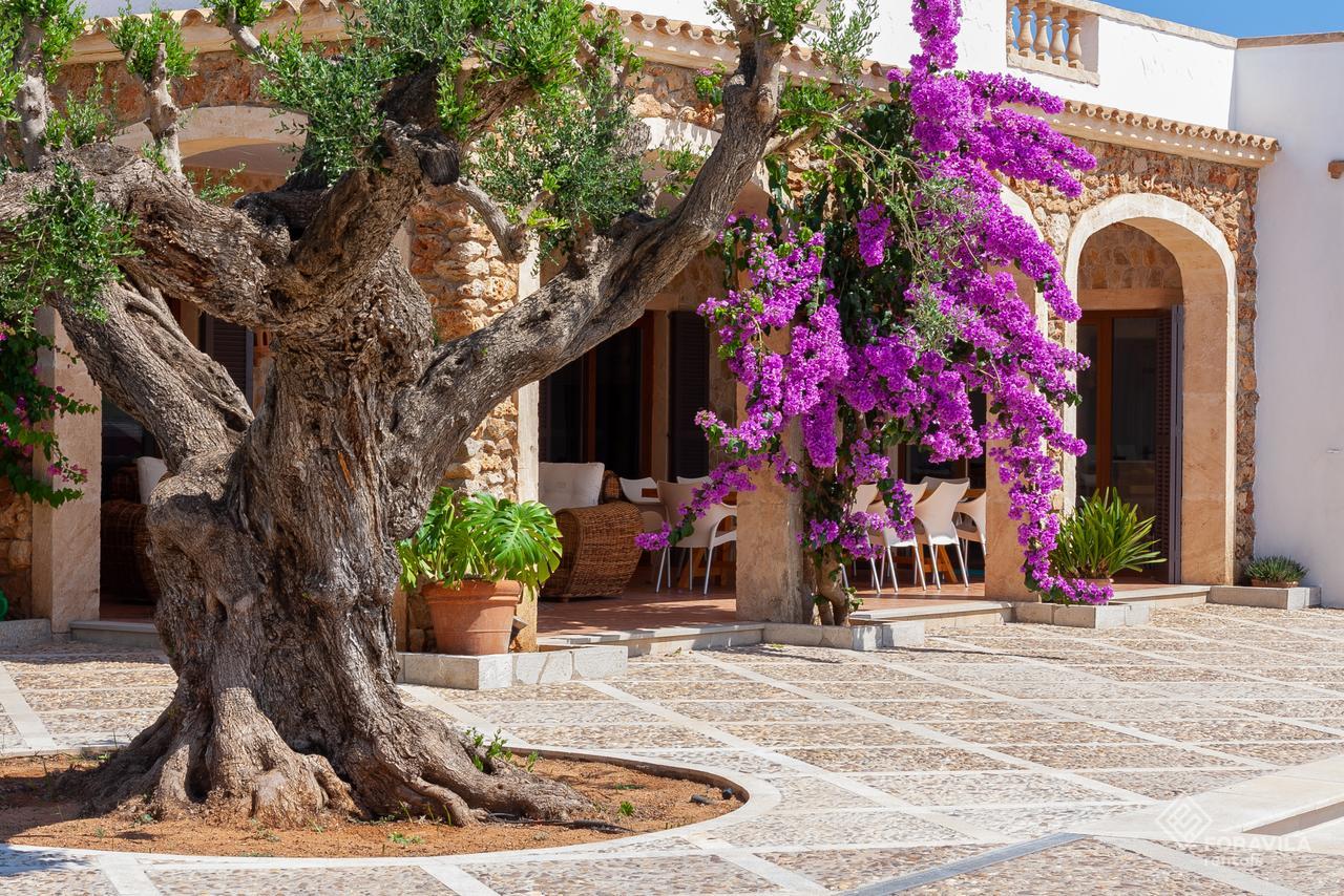 Villa Turquesa Santa Margalida Εξωτερικό φωτογραφία